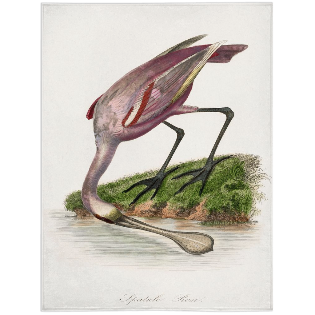 Hungry-60x80 inch-Single Sided on Lucasgift