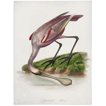 Hungry-60x80 inch-Single Sided on Lucasgift