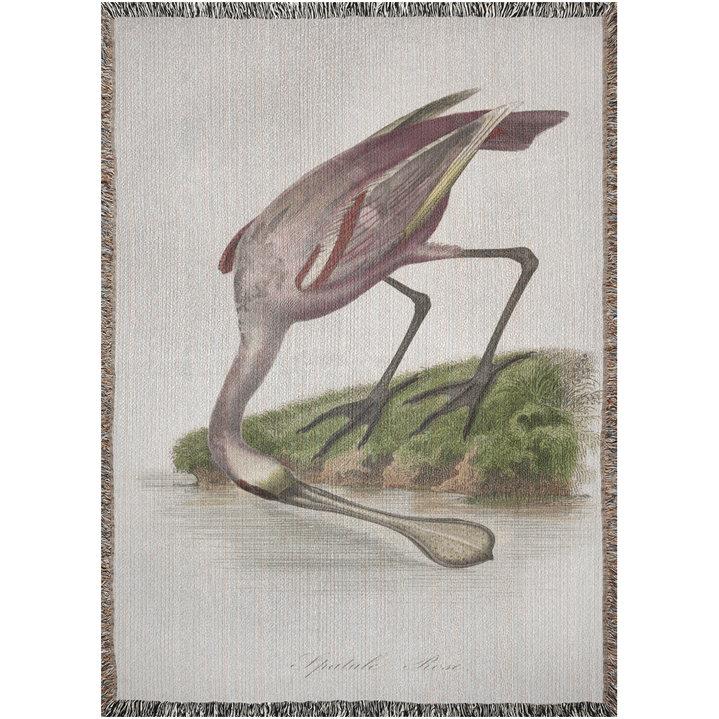 Hungry-52x37 inch-Graphics on Lucasgift