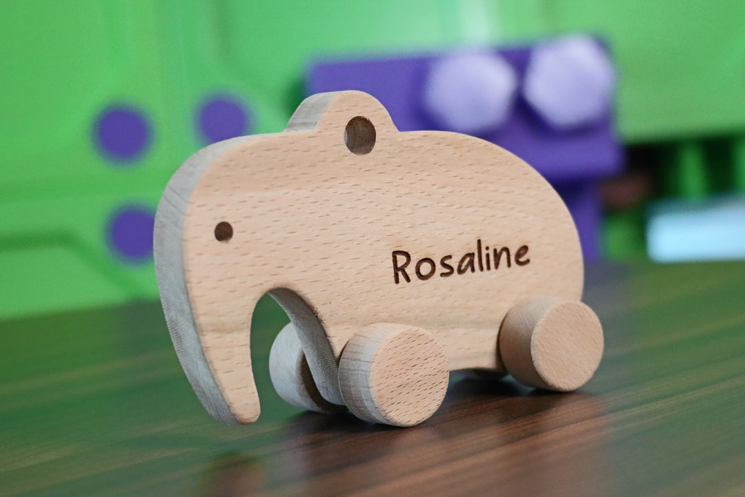 Wooden Toy Car - Turtle - Personalized - Handmade Montessori Toy-Lucasgift