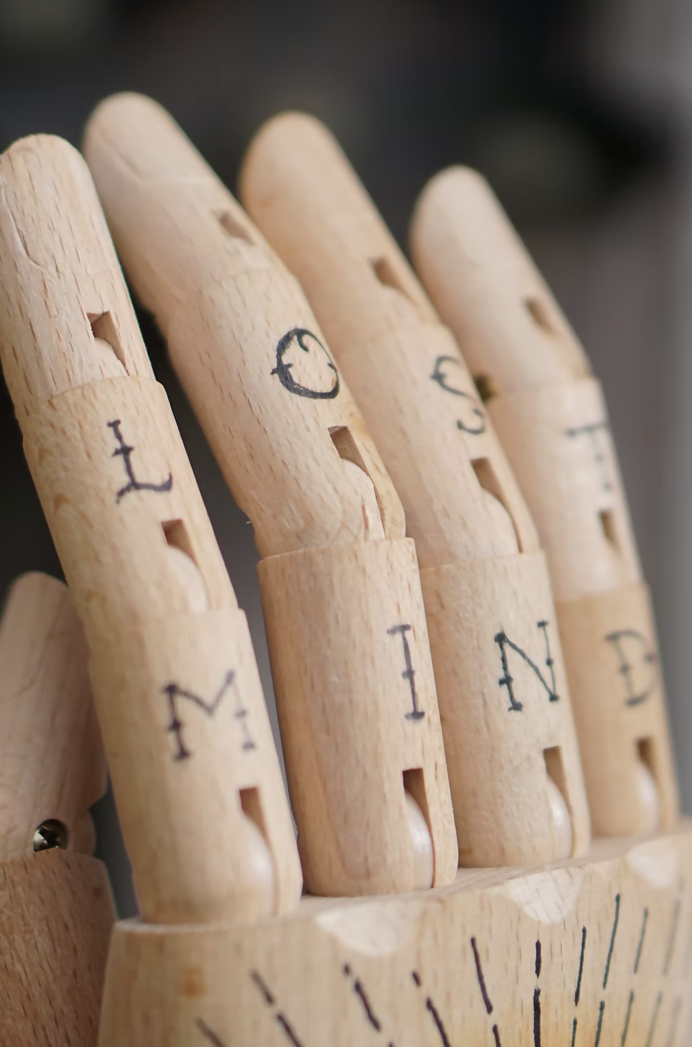 LOST MIND WOODEN HAND- on Lucasgift