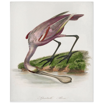 Hungry-50x60 inch-Single Sided on Lucasgift