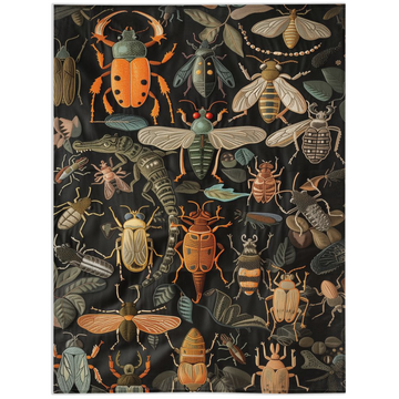 Beetles-60x80 inch-Single Sided on Lucasgift