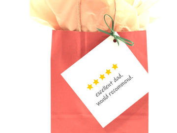 excellent sister. would recommend, funny Sister Birthday day card, GIFT BAG TAG, Birthday Card, card for her, birthday card- on Lucasgift