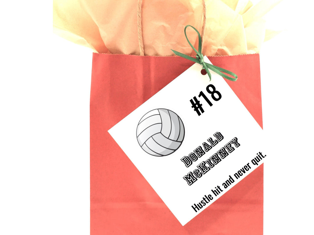 Personalized Volleyball Card, Gift Bag Tags, Gift Tag Cards, Kid's Name Tags, Sport Gift Bag Tag, Charms, Team Gift- on Lucasgift