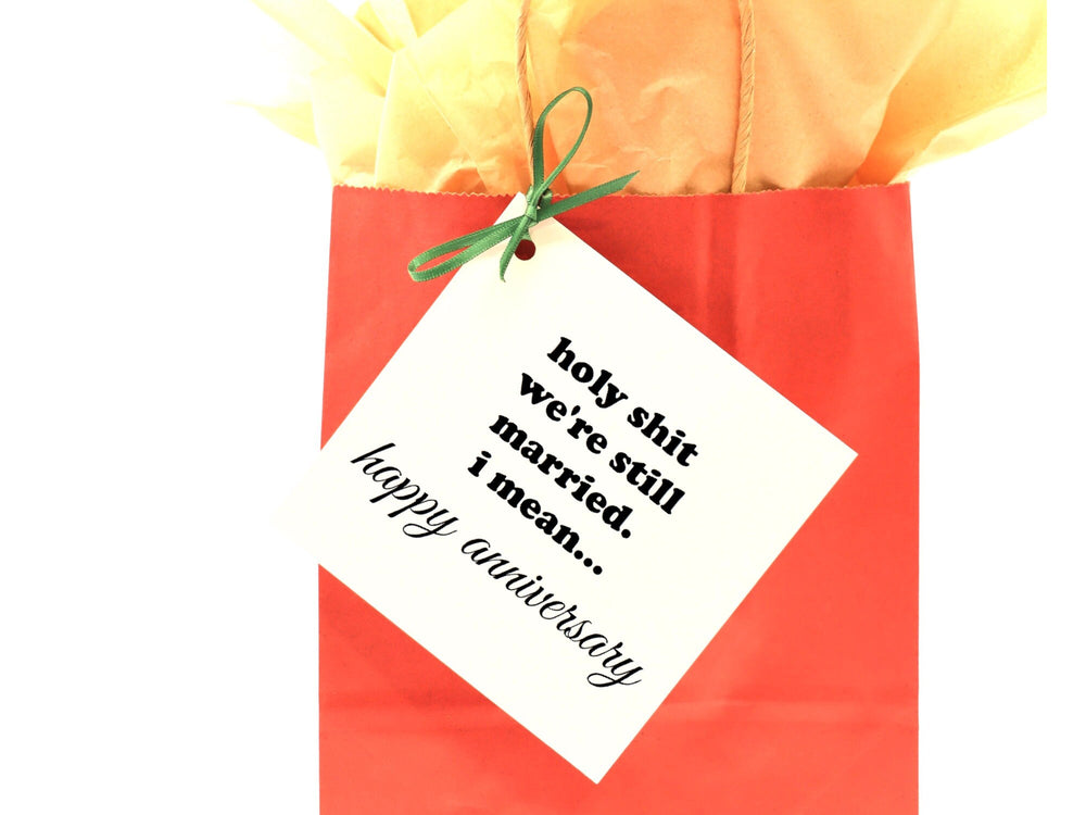 Holy Shit We're Still Married, snarky anniversary card, funny anniversary gift, rude cards, snarky humor, 10 year anniversary- on Lucasgift